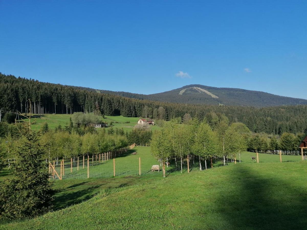 Gosciniec Janowa Gora - Agroturystyka Stronie Slaskie Exterior photo