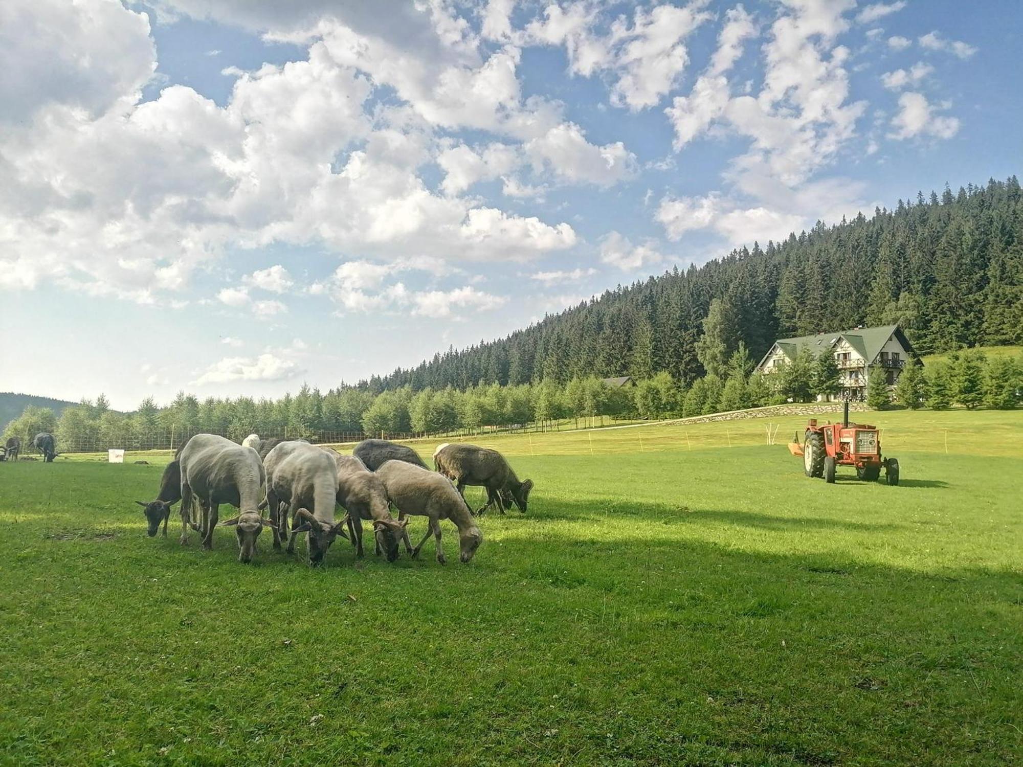 Gosciniec Janowa Gora - Agroturystyka Stronie Slaskie Room photo